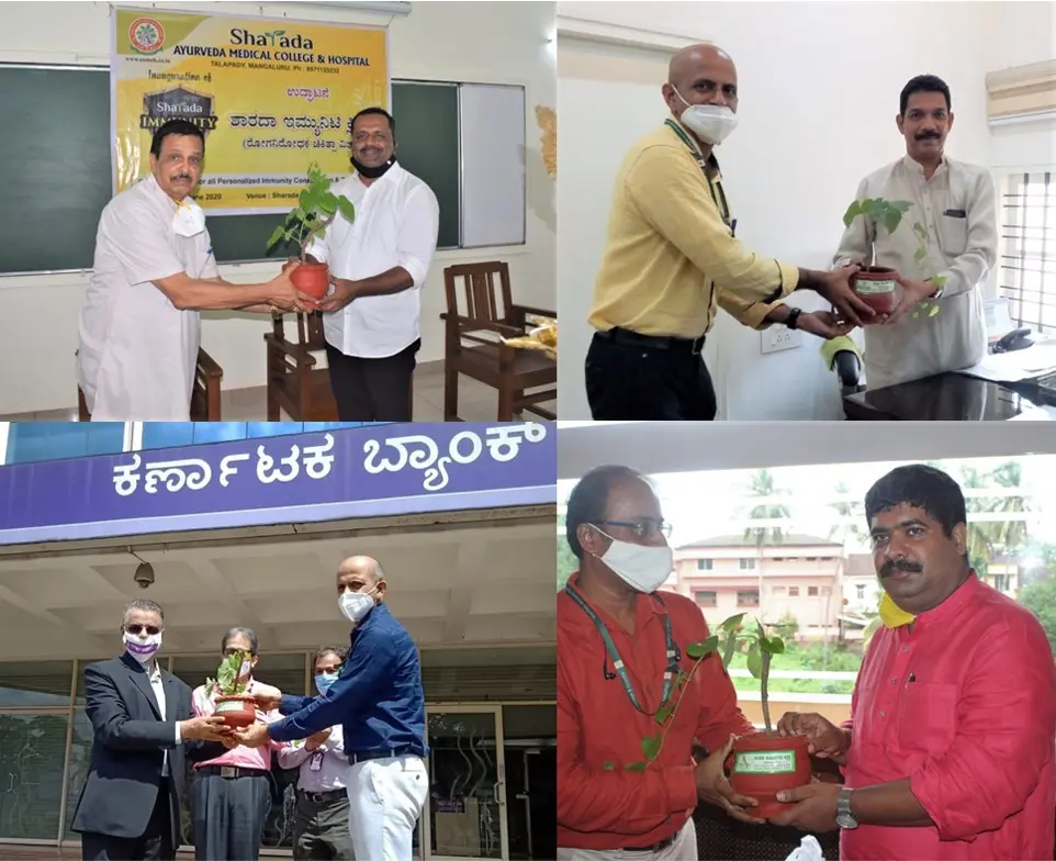 Tree plantation drive